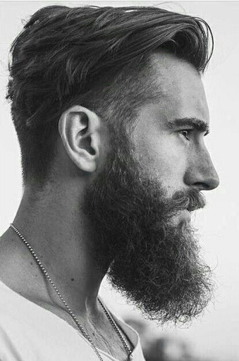 Barba FULL